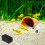 Solar-Aquarium-Luftpumpe, Aquarium- , Teichwasserpumpe, 6