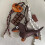 Pendentif chien saucisse Unique,-Caméra pour chien teckel 7