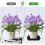12Stk Blumenuntersetzer Kunststoff Für Blumentöpfe Und Garten 5