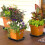 12Stk Blumenuntersetzer Kunststoff Für Blumentöpfe Und Garten 9