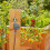 Gardena Programmateur d'arrosage GARDENA Water Control Easy Plus 3