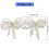 Plastic Bows Hem Chain Pants Accessory Pearls Detailing Design 3