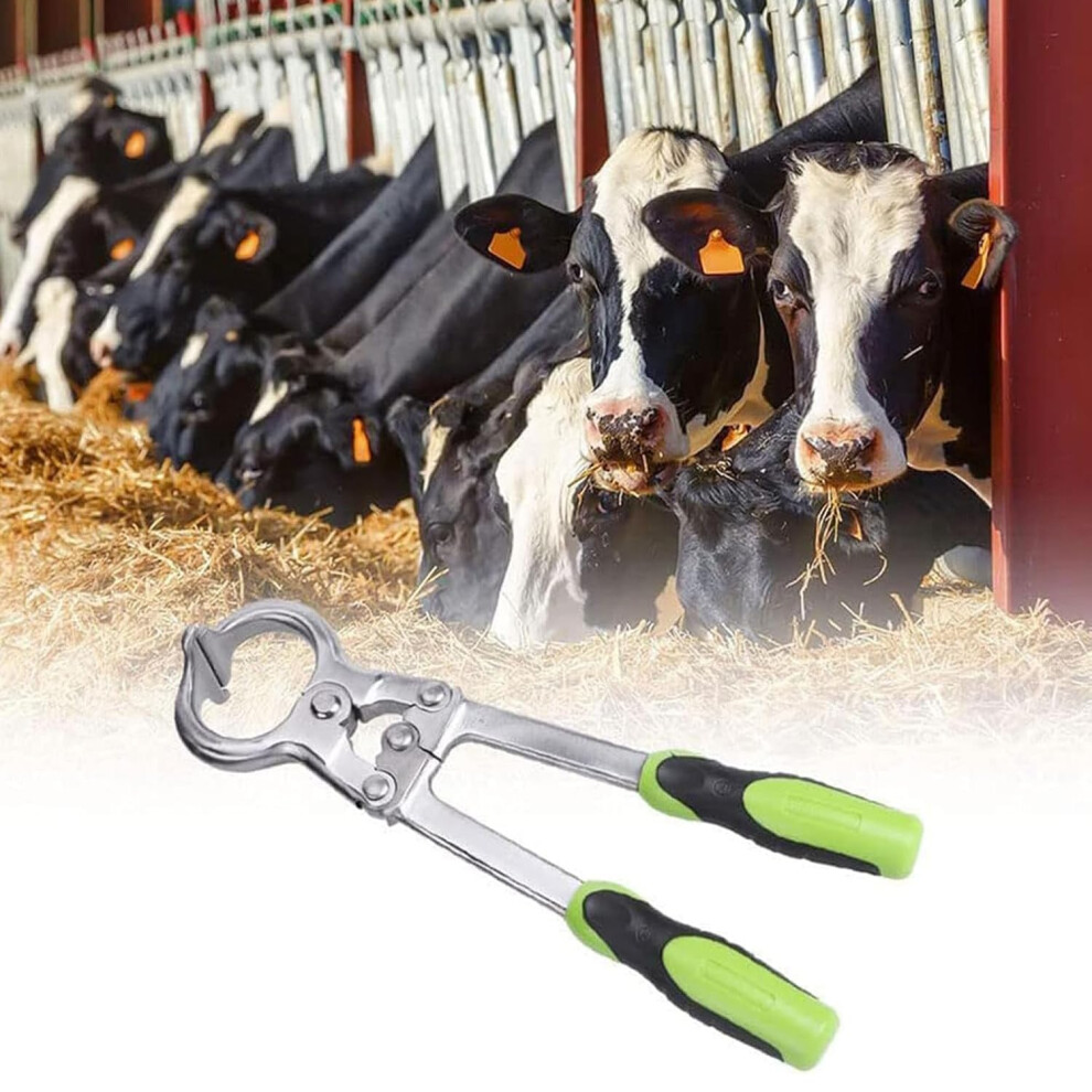 Bloodless Castration Tool For Livestock Veterinary Pliers Stainless Steel 44Mm Opening Prevents Skin Breakage Bleeding 9067246229740