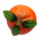 Robuste, lebensechte orangefarbene Tafelaufsätze, helle 1