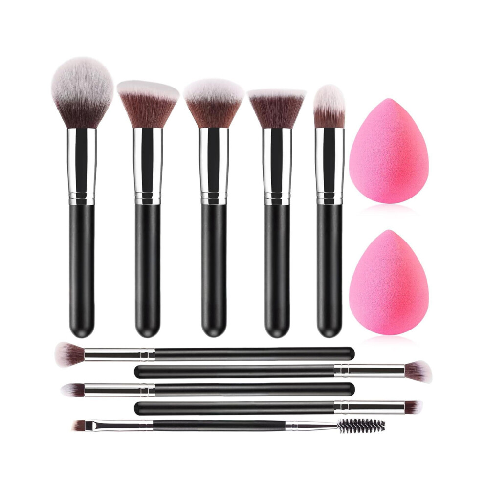 Black/Silver Non Irritating Cosmetic Brush Collection- And 10