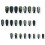 Nonallergenic Fraudulent Hoofs Black Framework Gold Blossomy 5