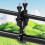 360 Rotating Photography Bracket Precise Adjustment-KF54058 E1 5