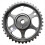 Car Engine Timing Camshaft Gear Sprocket 0805C8 08 4