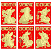 Enveloppen met Maanslangmotief, rode geluksenveloppen met parelmoerpapier, bedrukt met cartoonreliëffolie voor Chinees Nieuwjaarsgeschenken (6 stuks)