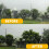 Car Rear Windshield Wiper Arm Blade for - W166 W16 7