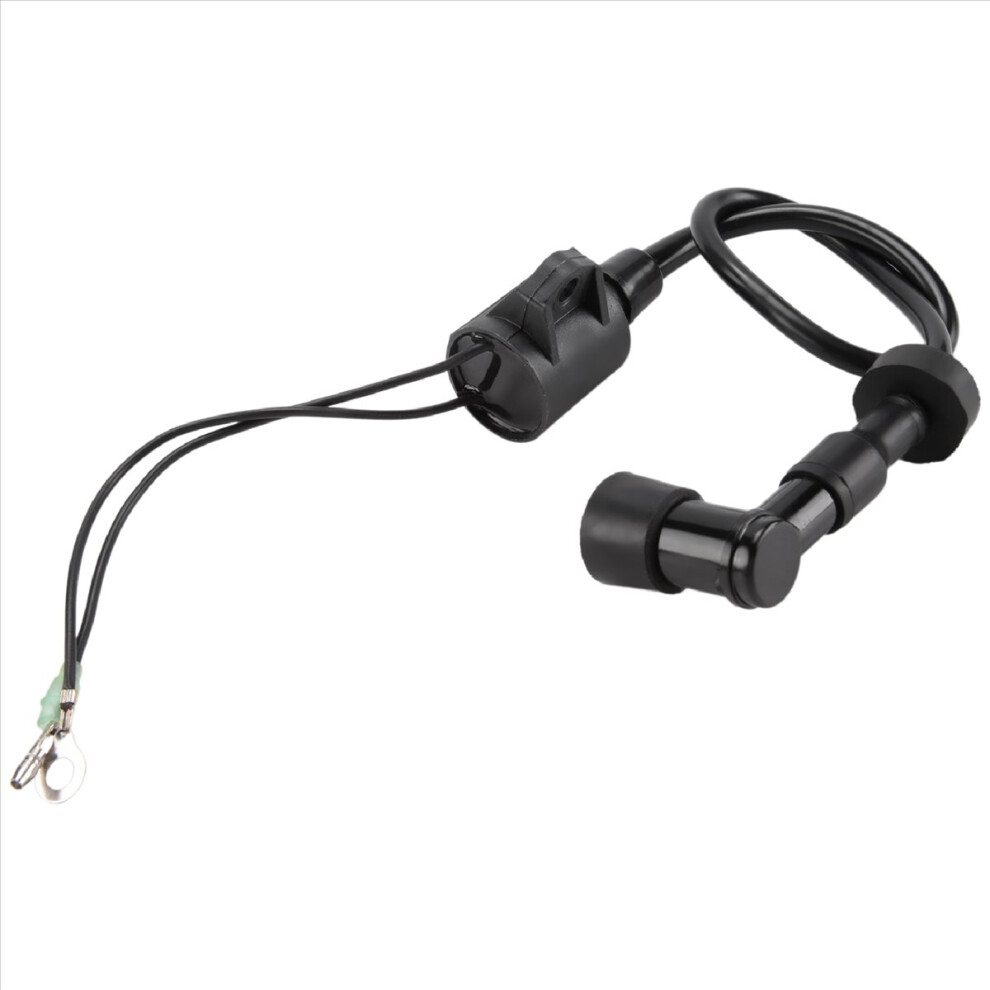 Boat Ignition Coil Assy For 40Hp 50Hp 2 Stroke 3 C 4852581990494