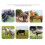 10KM Electric Fence Solar Charger Controller Anima 5