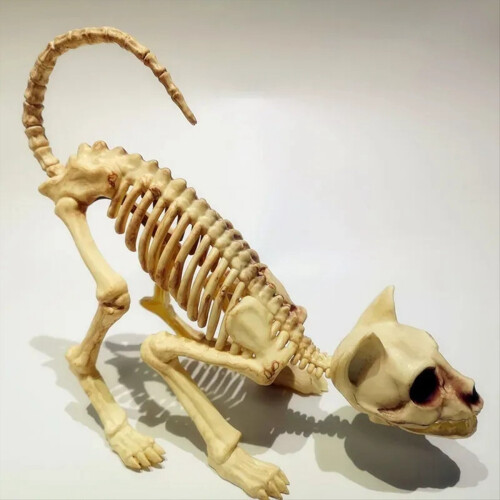 Halloween Scary Decoration Crouching Cat Skull Mod 2