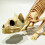 Halloween Scary Decoration Crouching Cat Skull Mod 4