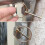 3/16Inch Linch Pin, Lynch Pin Disconnect Snap for 8