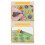 Children'S Chess Flip Game, Fruit Flip Game, Flip 3