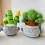 Simulation Potted Succulent Plants Plush Stuffed T 3