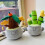 Simulation Potted Succulent Plants Plush Stuffed T 6