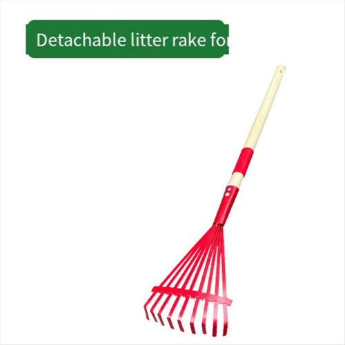 Children'S Rake with Hardwood Handle and Cute Rake 2