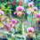 60Pcs Plant Supports Set - 20 Pack Flower Stakes S 6