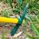 Pickaxe Mattock Hoe Heavy Duty Gardening Hand Pick 5