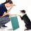 Dog Scratch Pad for Nails with Treat BoxSnack Box 2