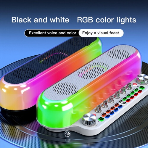 Portable Loud Karaoke Speaker with Two Mic Wireles 1
