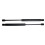 2X Rear Boot Spring Lift Support Gas Springs Strut 6