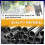 Inlet Suction Strainer Mesh Filter Compatible with 4
