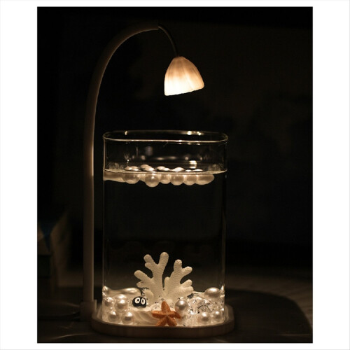 Mini Desktop Glass Aquarium Fish Tank with LED Lig 2