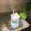 Mini Desktop Glass Aquarium Fish Tank with LED Lig 9