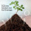 10Pcs Coir Pellet Soil Coconut Fiber Nutrient Plan 5