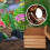 10Pcs Coir Pellet Soil Coconut Fiber Nutrient Plan 3