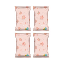 Pack of 4 Reusable Clear Storage Bags Compact Foldable Saving-M