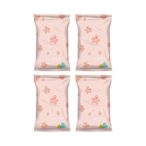 Pack of 4 Reusable Clear Storage Bags Compact Foldable Saving-M