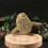 Sunfish Statues Figurines Home Decors Animal Sculptures Table 5