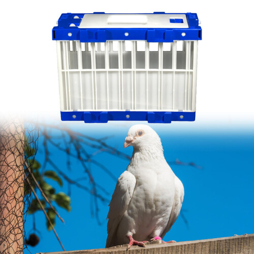 Modular Spliceable Bird Cage For Pigeons Parrots Training And 1