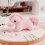 3Pièces Pochette Aiguilles - Accessoire Poignet Peluche 7