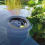 Oase AquaSkim 20 Pond Surface Skimmer 6