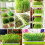 Plastic Microgreens Propagator For Garden Hydroponics Small Hole Tray 5