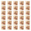Ευέλικτα Δοχεία Δώρων, Κομψά Κουτιά Δώρων για Κάθε Περίσταση, Παρουσίαση 1