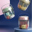 Rotary Pills Box with 4 Compartments-fresh green small 3