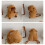 Modern Capybara Stuffed Backpacks With Adjustable Strap-C 7