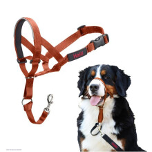 Anti-traction dog lead - Halti - Size 4 - Burnt Orange - Padded muzzle - Reflective elements
