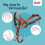 Halti Anti-traction dog lead - Halti - Size 4 - Burnt Orange - Padded muzzle - Reflective elements 5