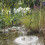 Pontec PondoSolar 150 Solar Fountain Set 4