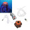 Aquarium-Vulkan-Ornament-Kit, lebensechte 11