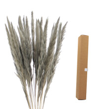 Naturliga torkade blomsterarrangemang fluffiga pampasgräs torkade rosa dekor för bröllop boho fest hem bondgårdsdekoration romantisk atmosfär