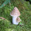 Modèles de champignons simulés, ornement Miniature en résine, 7