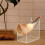Acryl displayrek voor effectieve merchandising in winkels,-A 2